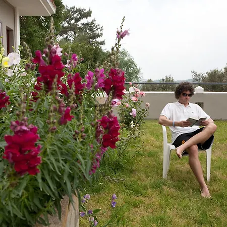 Ova 호텔 페티예